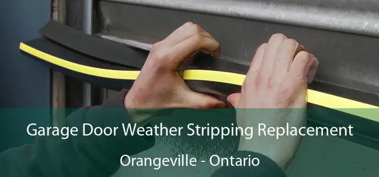 Garage Door Weather Stripping Replacement Orangeville - Ontario