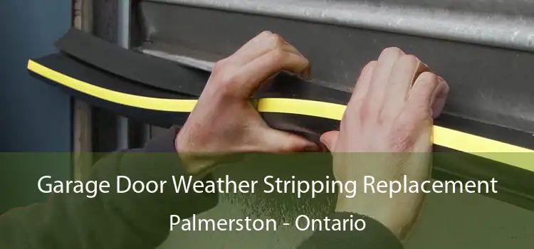 Garage Door Weather Stripping Replacement Palmerston - Ontario