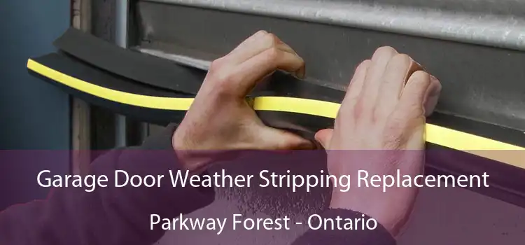Garage Door Weather Stripping Replacement Parkway Forest - Ontario