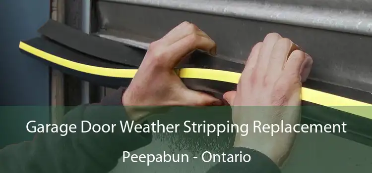 Garage Door Weather Stripping Replacement Peepabun - Ontario