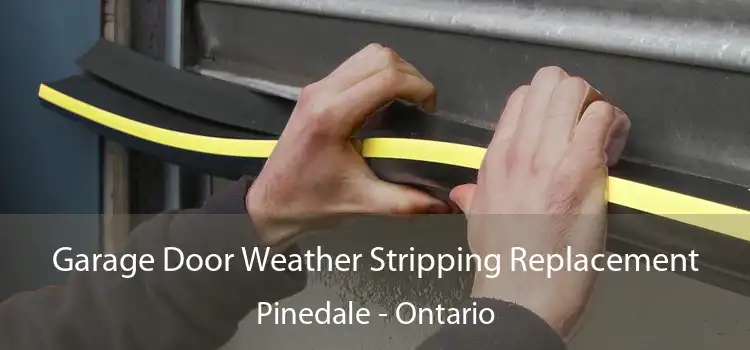 Garage Door Weather Stripping Replacement Pinedale - Ontario