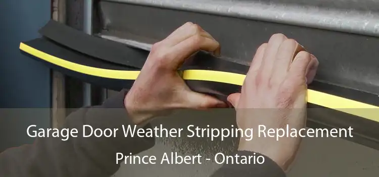 Garage Door Weather Stripping Replacement Prince Albert - Ontario