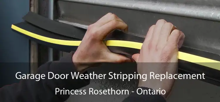 Garage Door Weather Stripping Replacement Princess Rosethorn - Ontario