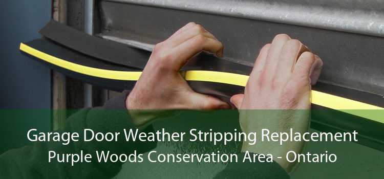 Garage Door Weather Stripping Replacement Purple Woods Conservation Area - Ontario