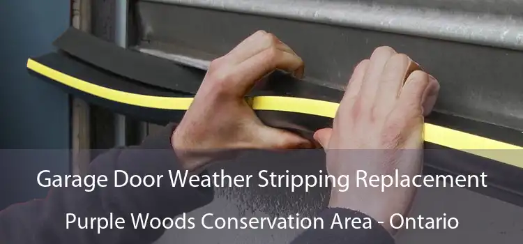 Garage Door Weather Stripping Replacement Purple Woods Conservation Area - Ontario