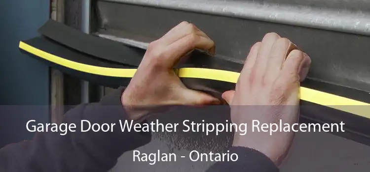 Garage Door Weather Stripping Replacement Raglan - Ontario