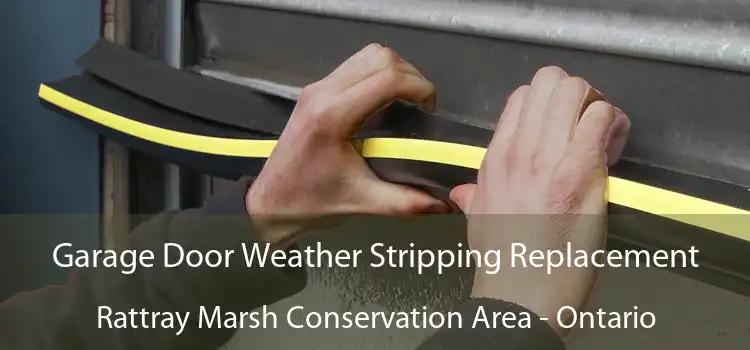 Garage Door Weather Stripping Replacement Rattray Marsh Conservation Area - Ontario