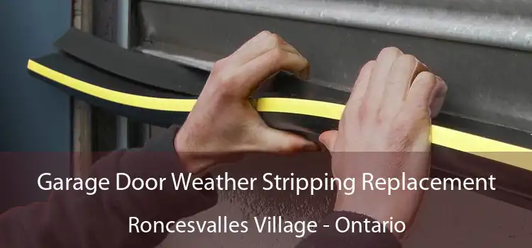 Garage Door Weather Stripping Replacement Roncesvalles Village - Ontario