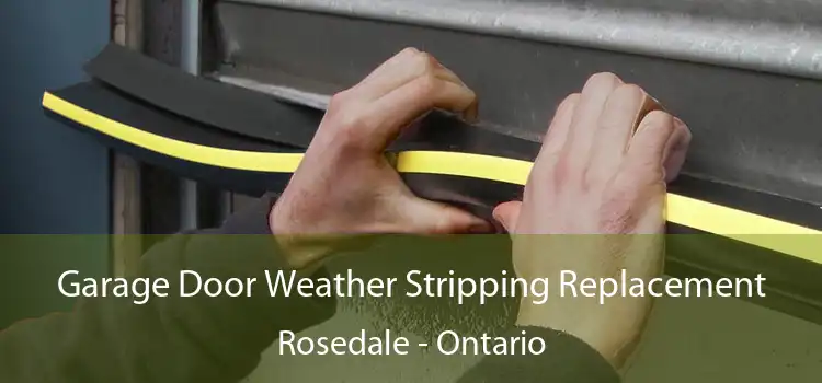 Garage Door Weather Stripping Replacement Rosedale - Ontario