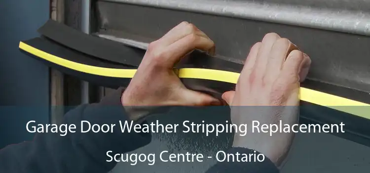 Garage Door Weather Stripping Replacement Scugog Centre - Ontario