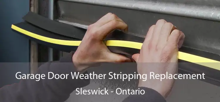 Garage Door Weather Stripping Replacement Sleswick - Ontario
