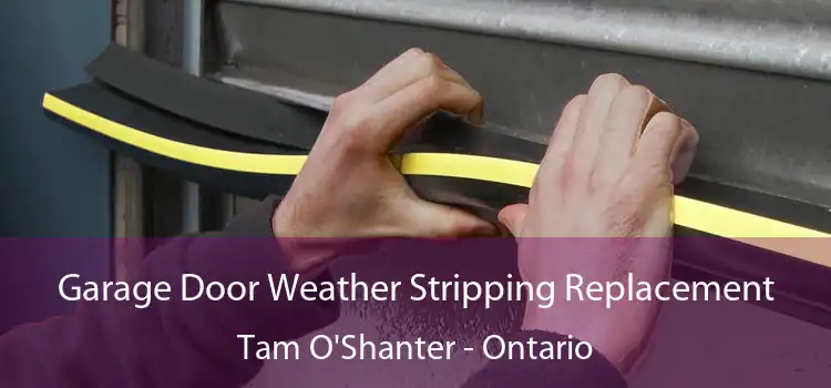 Garage Door Weather Stripping Replacement Tam O'Shanter - Ontario