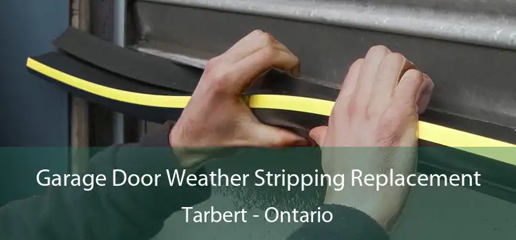 Garage Door Weather Stripping Replacement Tarbert - Ontario