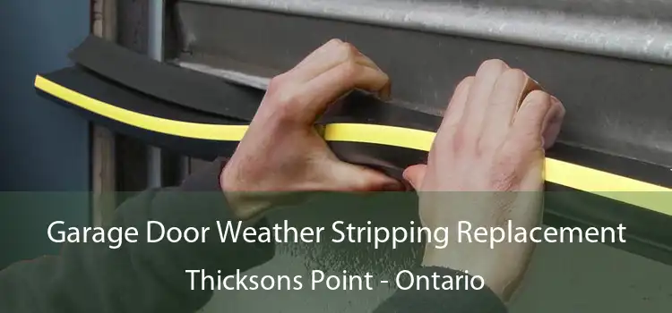 Garage Door Weather Stripping Replacement Thicksons Point - Ontario