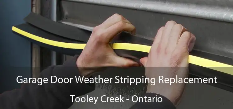 Garage Door Weather Stripping Replacement Tooley Creek - Ontario