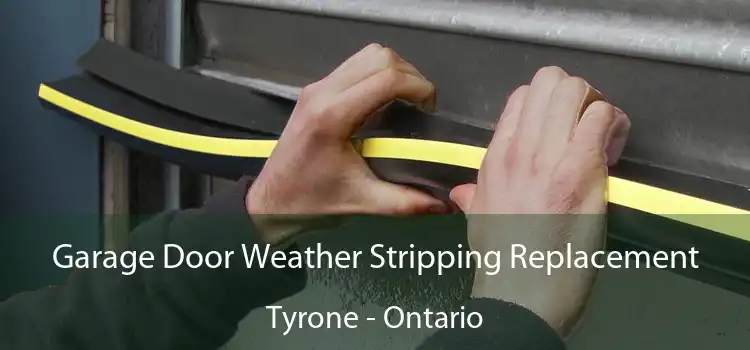 Garage Door Weather Stripping Replacement Tyrone - Ontario