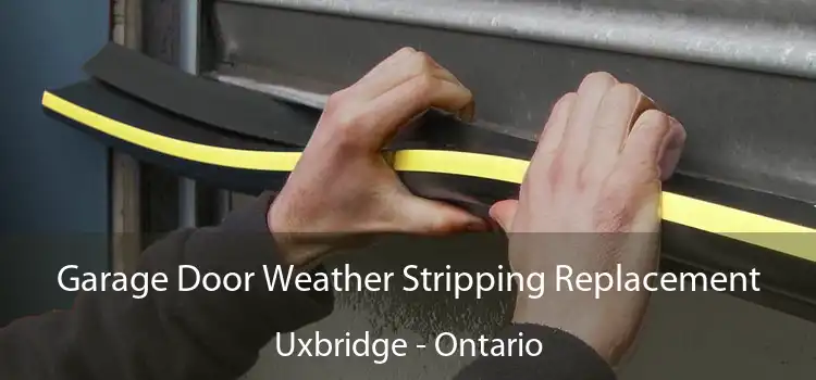 Garage Door Weather Stripping Replacement Uxbridge - Ontario