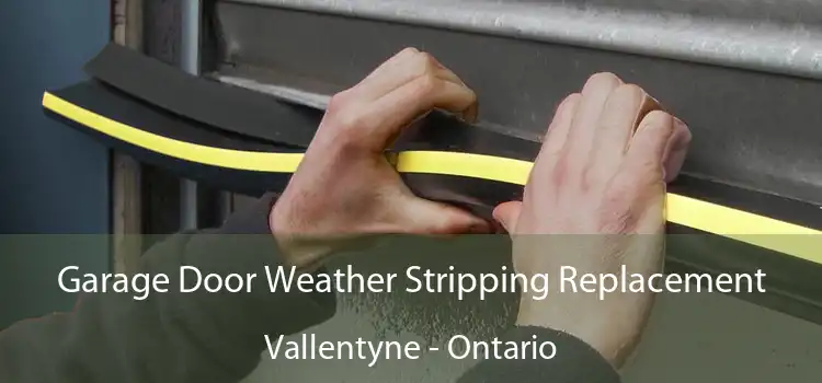 Garage Door Weather Stripping Replacement Vallentyne - Ontario