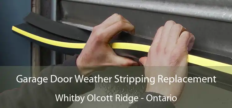 Garage Door Weather Stripping Replacement Whitby Olcott Ridge - Ontario