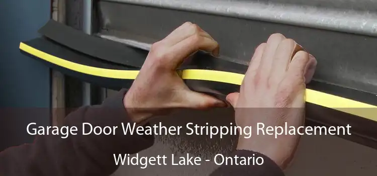 Garage Door Weather Stripping Replacement Widgett Lake - Ontario