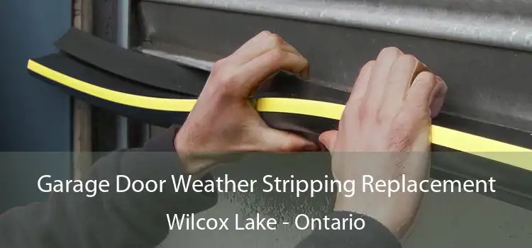 Garage Door Weather Stripping Replacement Wilcox Lake - Ontario