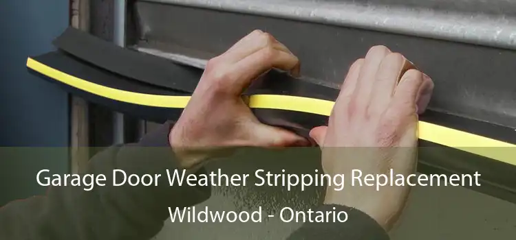 Garage Door Weather Stripping Replacement Wildwood - Ontario
