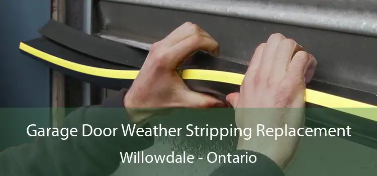 Garage Door Weather Stripping Replacement Willowdale - Ontario