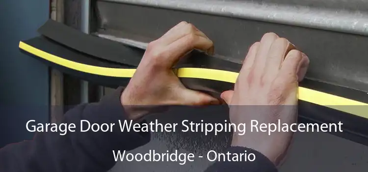 Garage Door Weather Stripping Replacement Woodbridge - Ontario