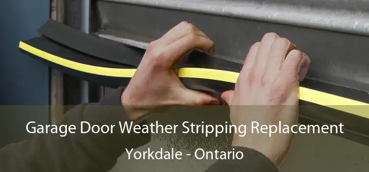 Garage Door Weather Stripping Replacement Yorkdale - Ontario
