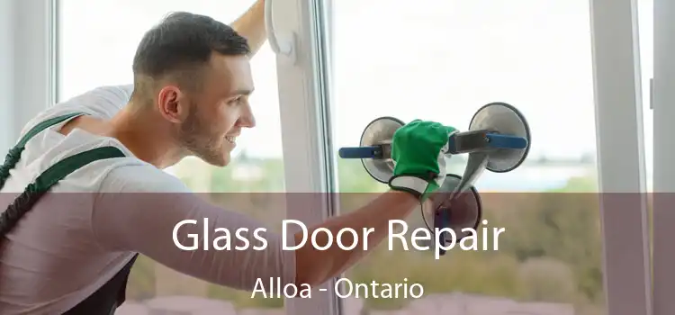 Glass Door Repair Alloa - Ontario