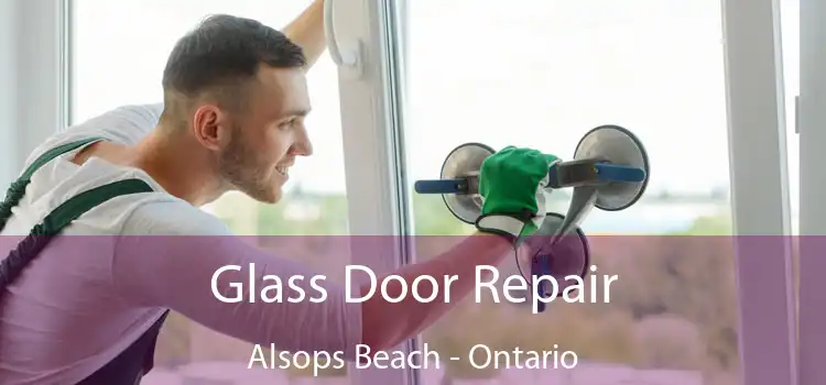 Glass Door Repair Alsops Beach - Ontario
