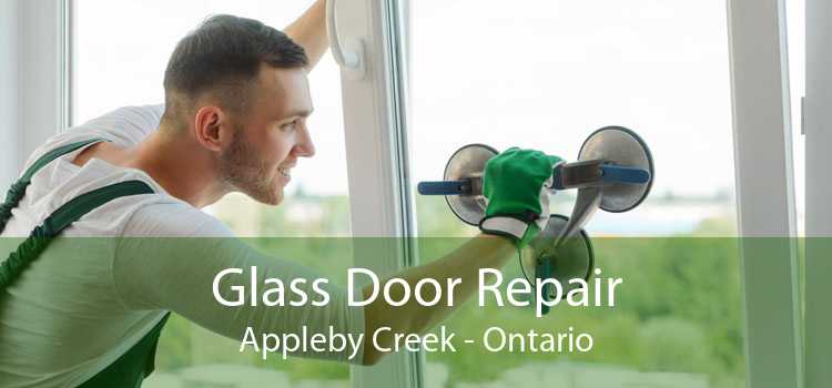 Glass Door Repair Appleby Creek - Ontario