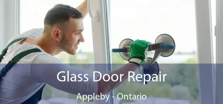 Glass Door Repair Appleby - Ontario