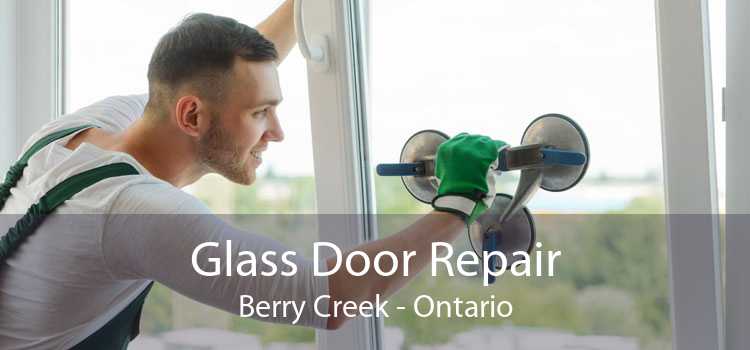 Glass Door Repair Berry Creek - Ontario
