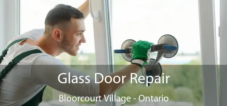 Glass Door Repair Bloorcourt Village - Ontario