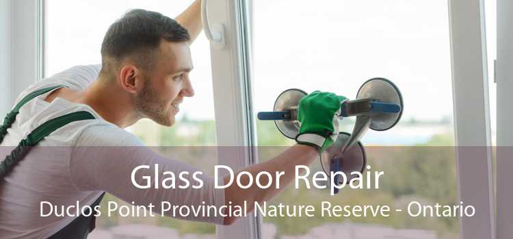 Glass Door Repair Duclos Point Provincial Nature Reserve - Ontario