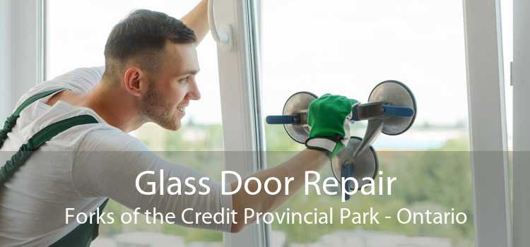 Glass Door Repair Forks of the Credit Provincial Park - Ontario