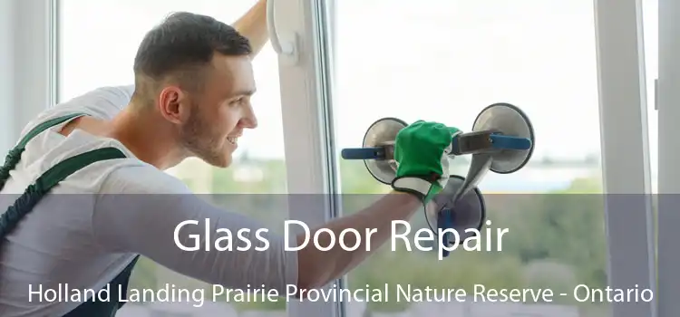 Glass Door Repair Holland Landing Prairie Provincial Nature Reserve - Ontario