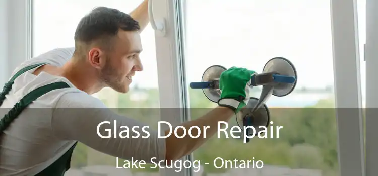 Glass Door Repair Lake Scugog - Ontario