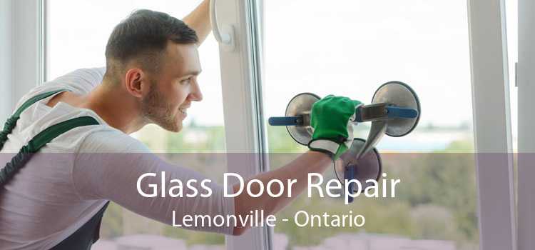 Glass Door Repair Lemonville - Ontario