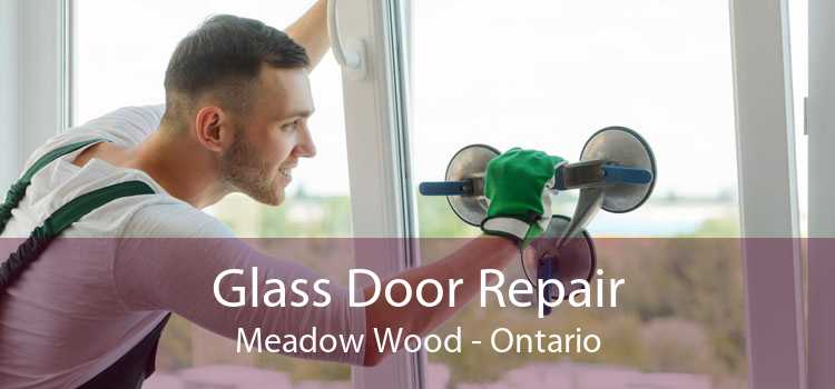 Glass Door Repair Meadow Wood - Ontario