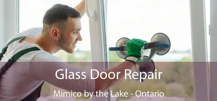 Glass Door Repair Mimico by the Lake - Ontario