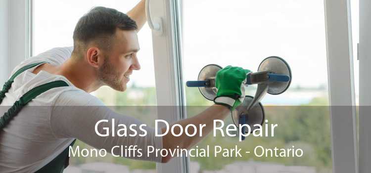 Glass Door Repair Mono Cliffs Provincial Park - Ontario