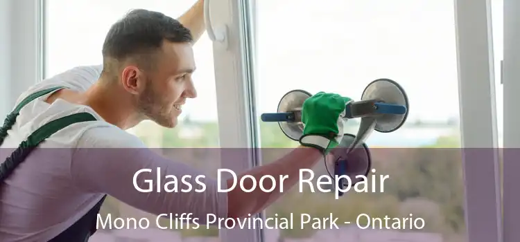 Glass Door Repair Mono Cliffs Provincial Park - Ontario