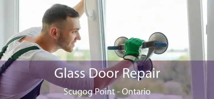Glass Door Repair Scugog Point - Ontario