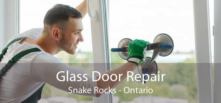 Glass Door Repair Snake Rocks - Ontario