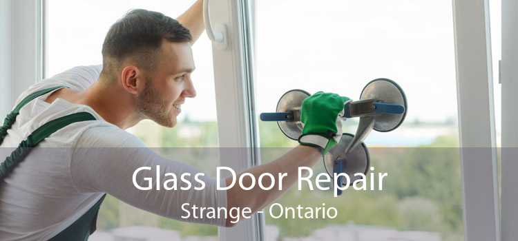 Glass Door Repair Strange - Ontario