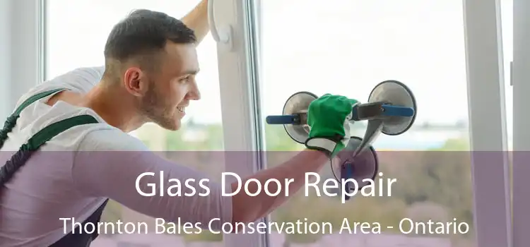 Glass Door Repair Thornton Bales Conservation Area - Ontario
