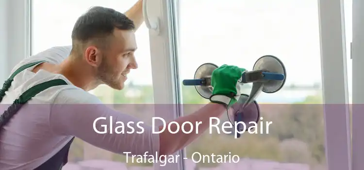 Glass Door Repair Trafalgar - Ontario