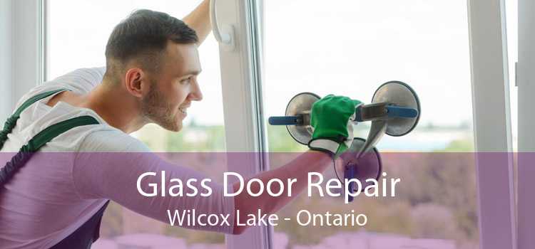 Glass Door Repair Wilcox Lake - Ontario